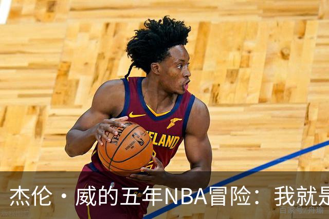 杰伦·威的五年NBA冒险：我就是那幸运的小鸟！